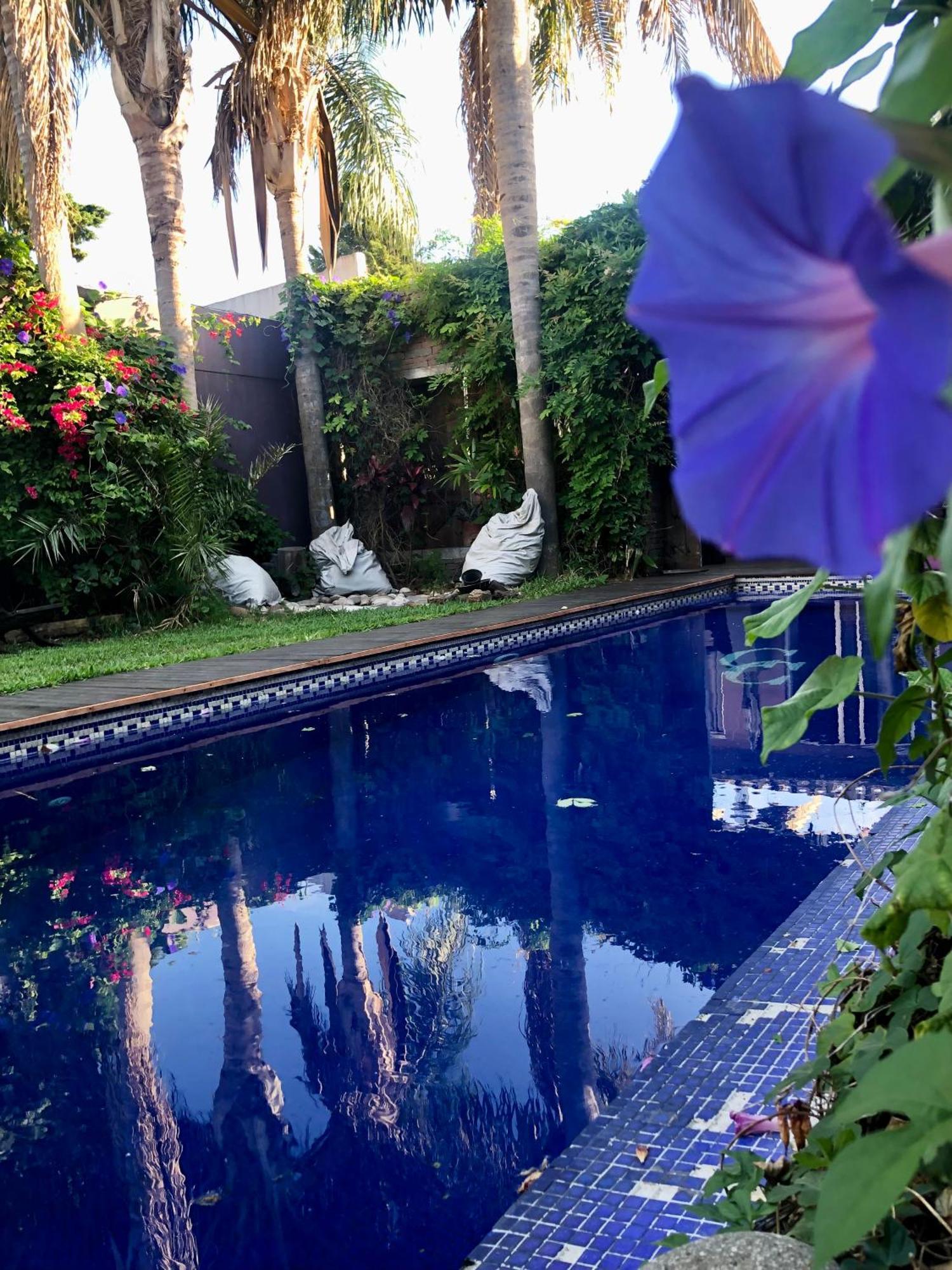 Cool Clima Bed & Breakfast Olivos Exterior photo
